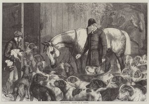 ಫ್ರಾಸ್ಟ್-ಬೌಂಡ್ ಟರ್ಕ್